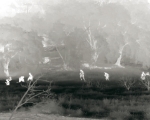 Бегущие в тумане солдаты